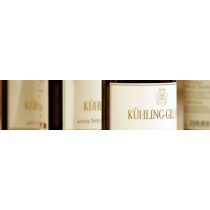 Kühling-Gillot 6 Bottle Mixed Case (Portfolio Collection)